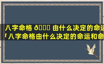 八字命格 🐕 由什么决定的命运「八字命格由什么决定的命运和命运」